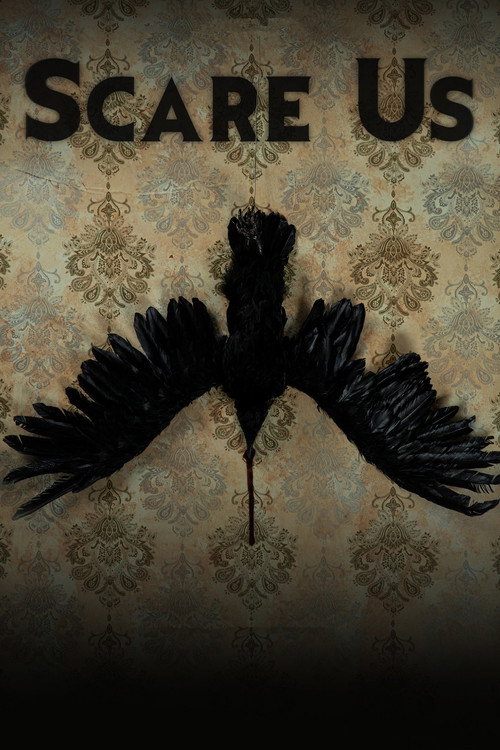 Póster de Scare Us