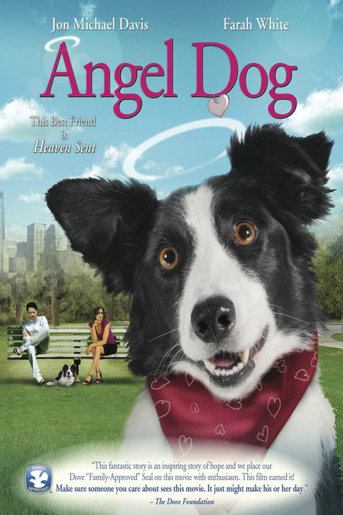 Póster de Angel Dog