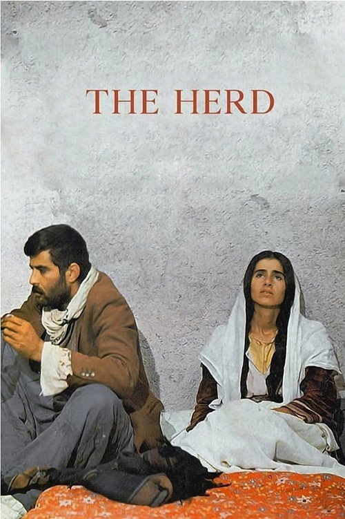 Póster de The Herd