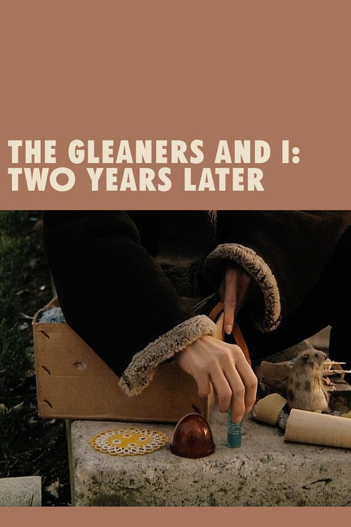 Póster de The Gleaners and I: Two Years Later