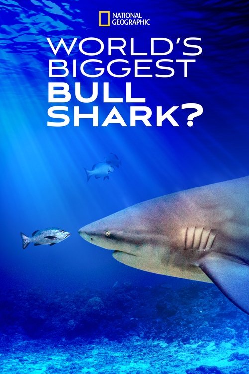 Póster de World's Biggest Bull Shark?