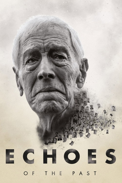 Póster de Echoes of the Past