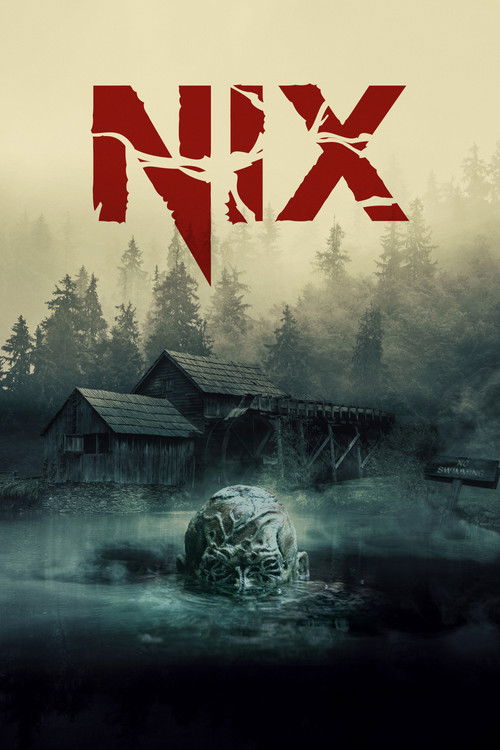 Póster de Nix