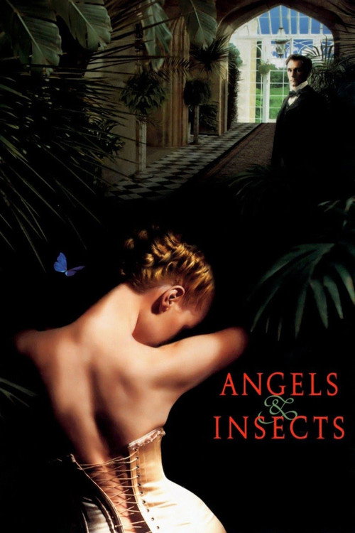 Póster de Angels and Insects
