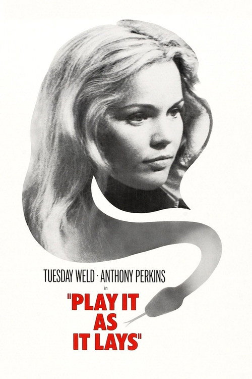 Locandina di Play It as It Lays