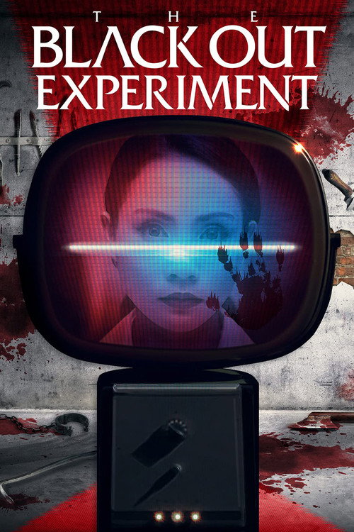 Póster de The Blackout Experiment