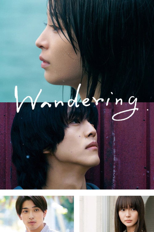 Póster de The Wandering Moon
