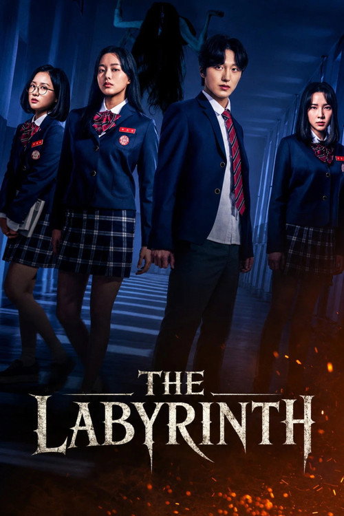 Póster de The Labyrinth