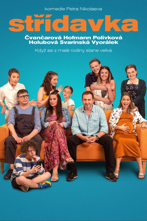 Póster de Blended