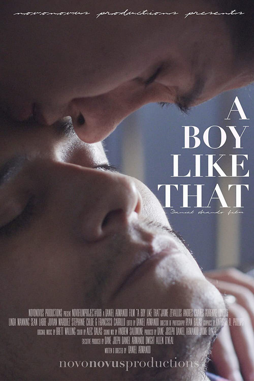 Póster de A Boy Like That