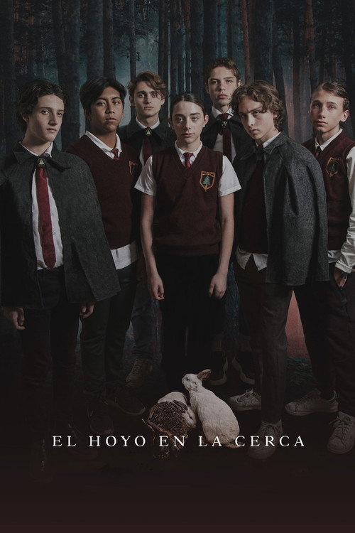 Póster de El hoyo en la cerca