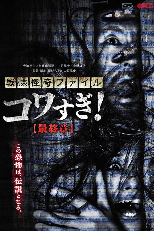 Póster de Senritsu Kaiki File Kowasugi! Final Chapter