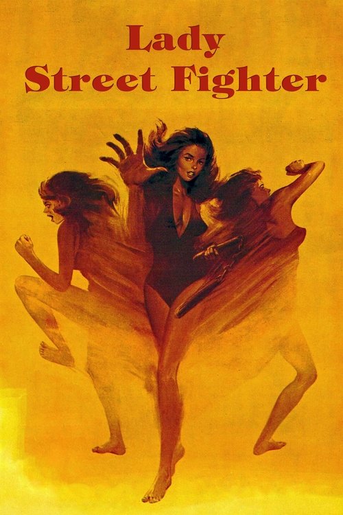 Póster de Lady Street Fighter