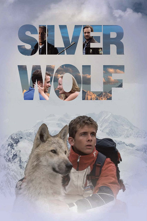 Pôster de Um Lobo Chamado Silver