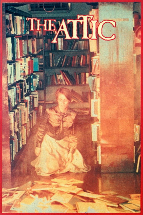 Póster de The Attic
