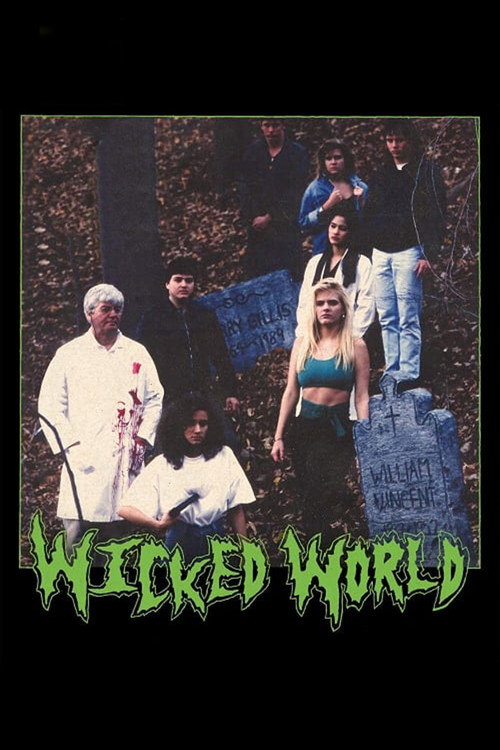 Póster de Wicked World