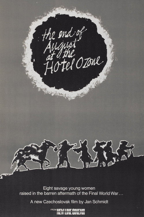Póster de The End of August at the Hotel Ozone