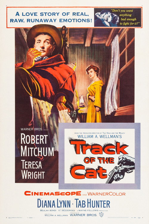 Póster de Track of the Cat