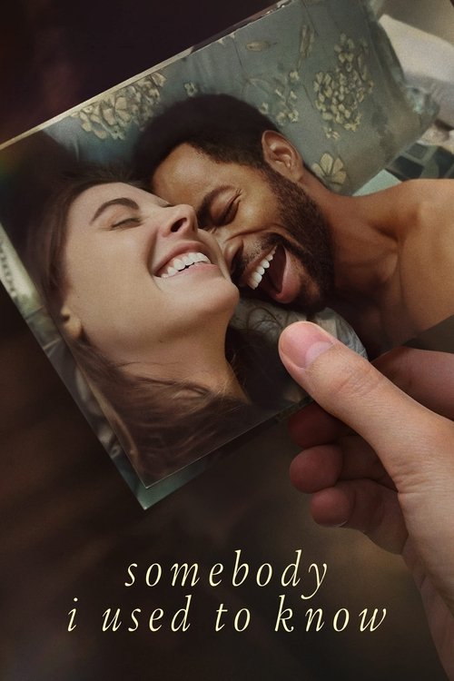 Póster de Somebody I Used to Know