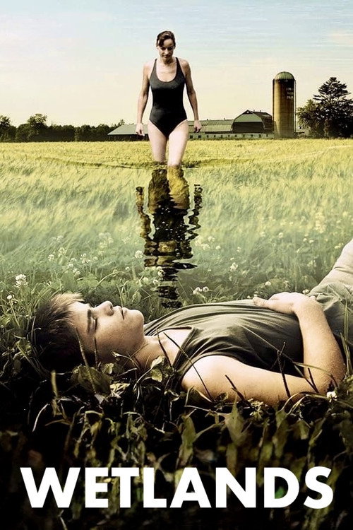 Póster de Wetlands