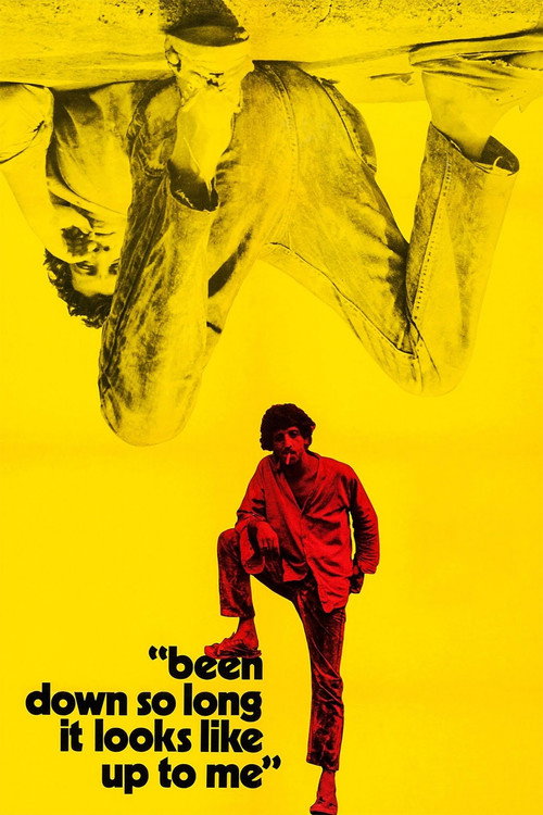 Póster de Been Down So Long It Looks Like Up to Me