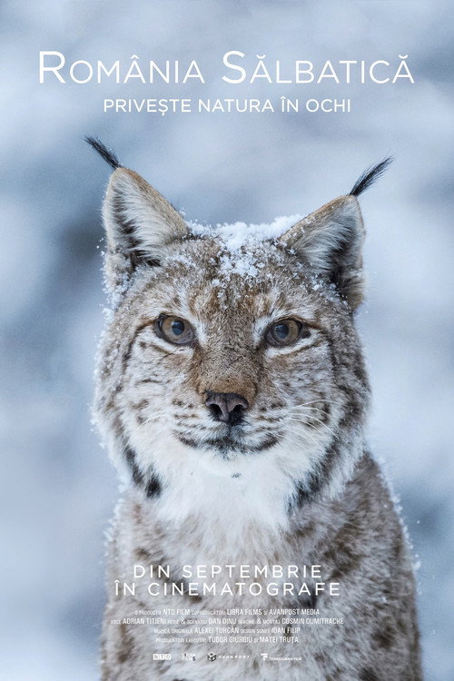 Póster de Wild Romania