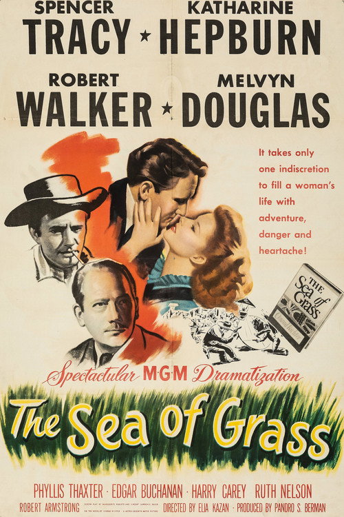 Póster de The Sea of Grass