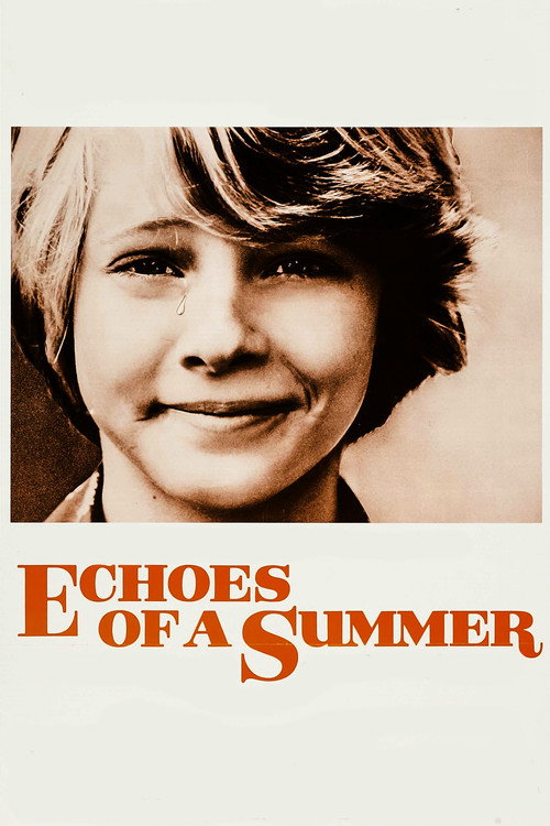 Póster de Echoes of a Summer