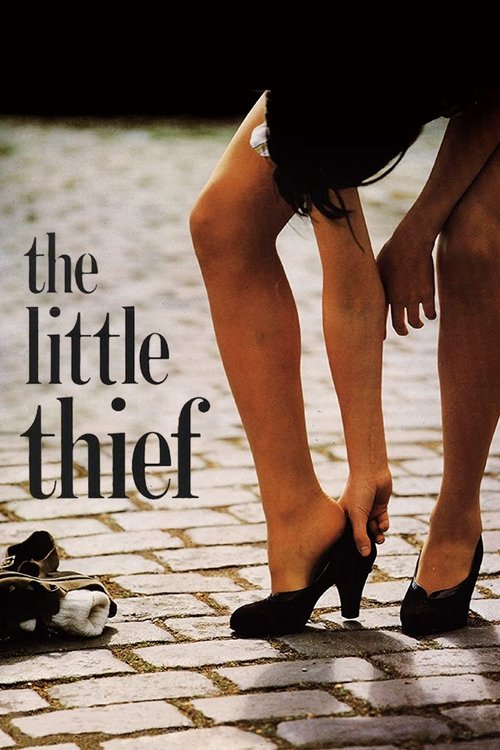 Póster de The Little Thief