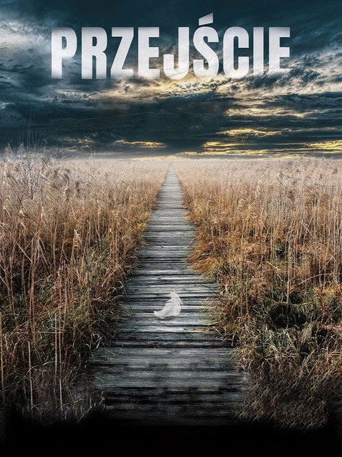 Póster de The Passage