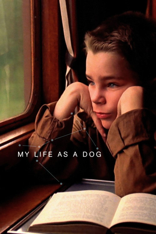 Póster de My Life as a Dog