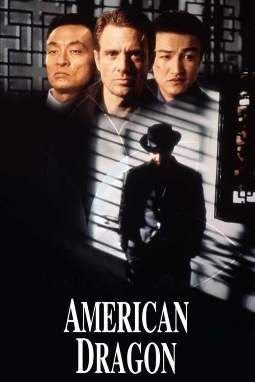 Pôster de American Dragons: Os Vingadores