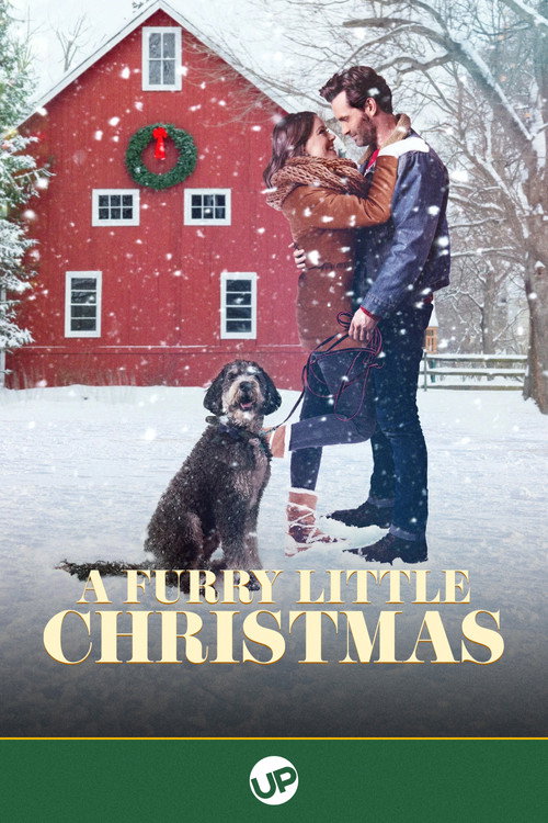 Locandina di A Furry Little Christmas