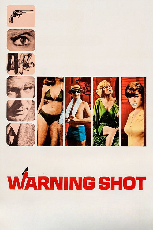 Póster de Warning Shot
