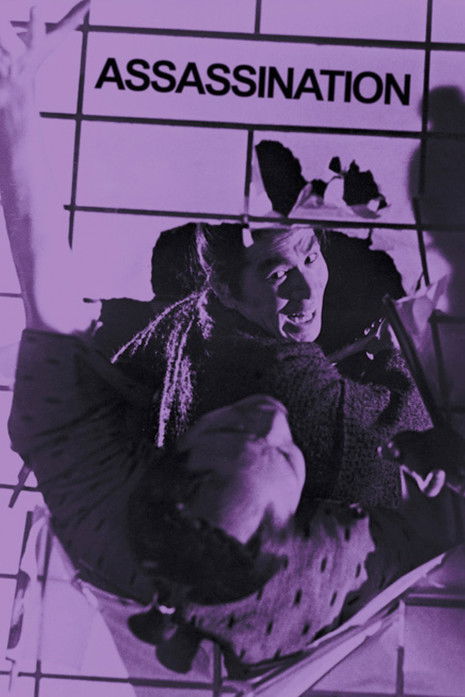 Póster de Assassination
