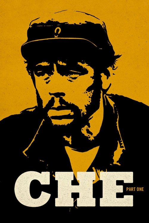 Póster de Che: Part One