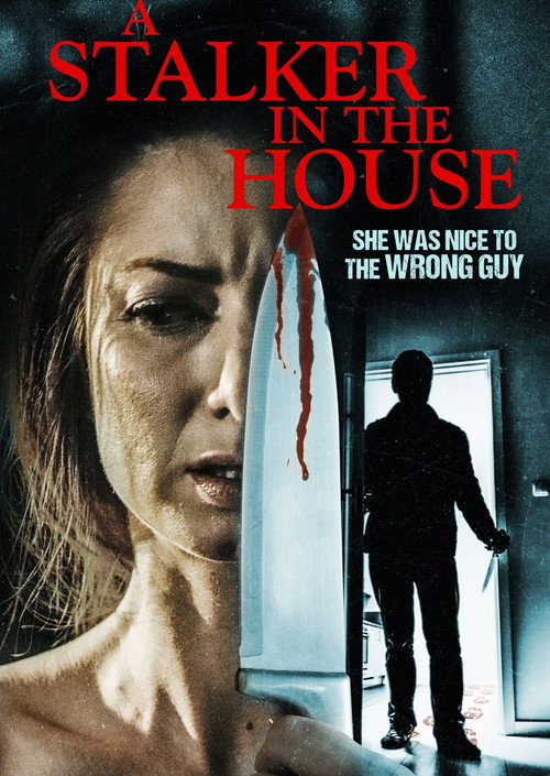 Póster de A Stalker in the House