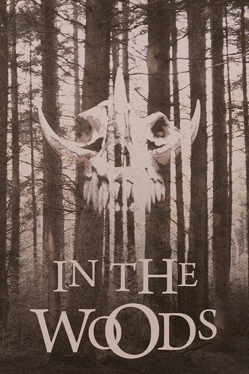 Póster de In the Woods