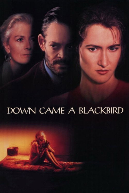 Póster de Down Came a Blackbird