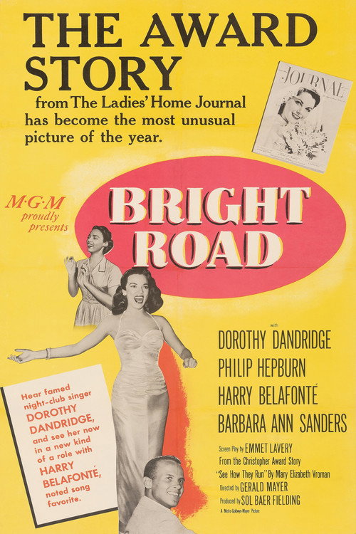 Póster de Bright Road