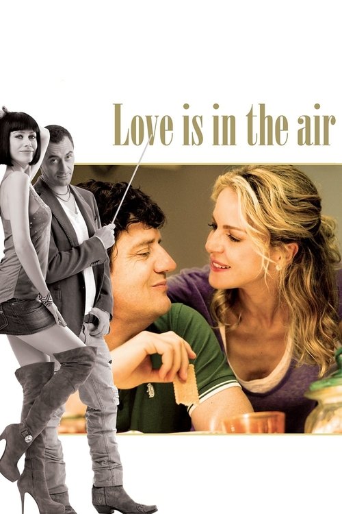 Póster de Love Is in the Air