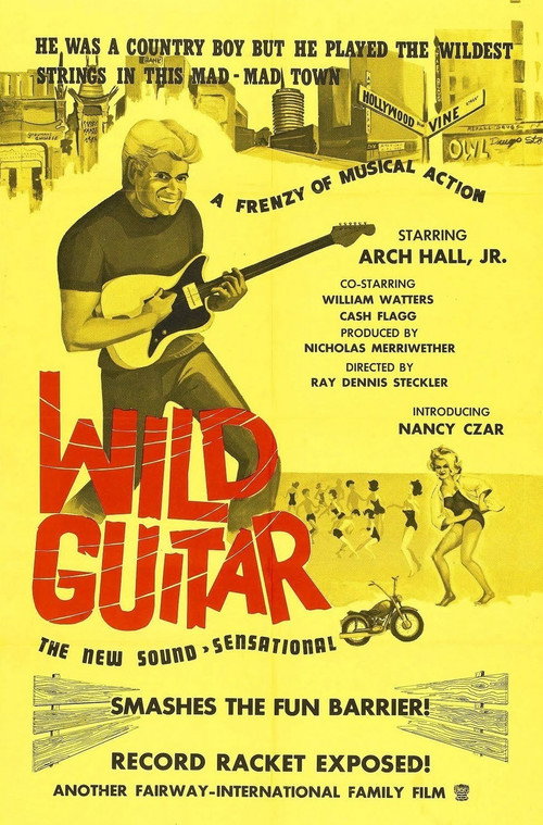Póster de Wild Guitar