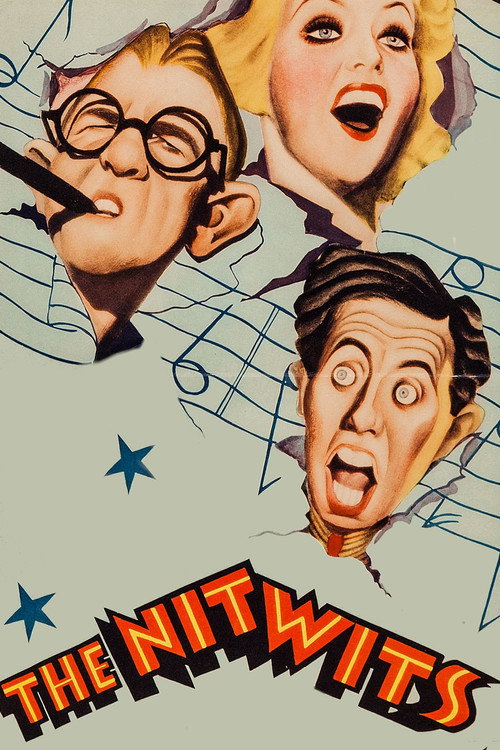Póster de The Nitwits