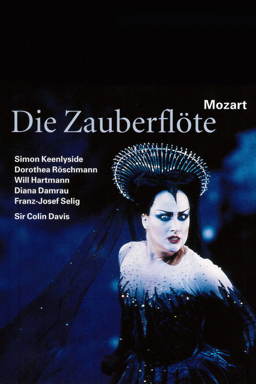Póster de The Magic Flute