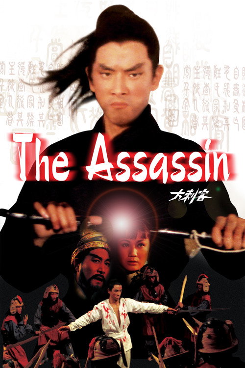 Póster de The Assassin