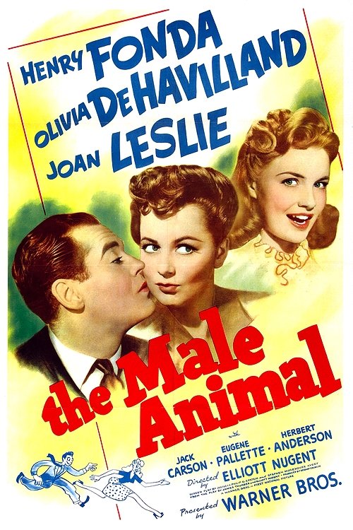 Póster de The Male Animal