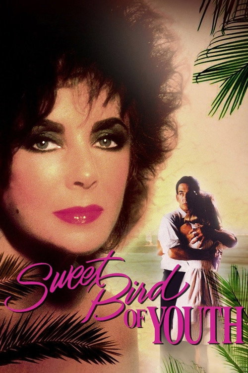 Póster de Sweet Bird of Youth