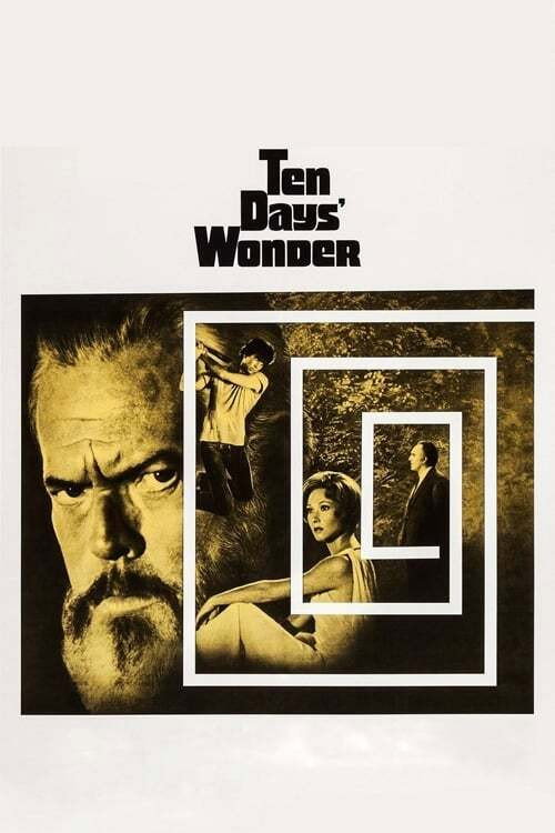 Póster de Ten Days' Wonder