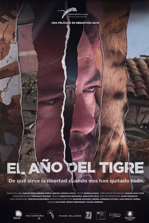 Póster de El año del tigre