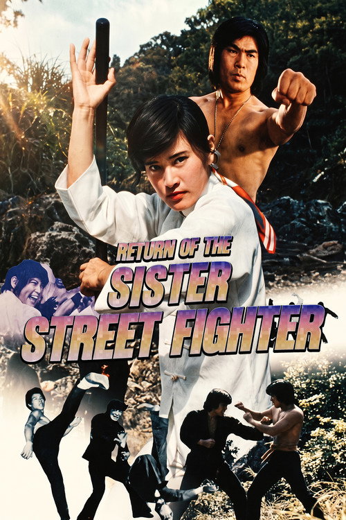 Póster de The Return of Sister Street Fighter